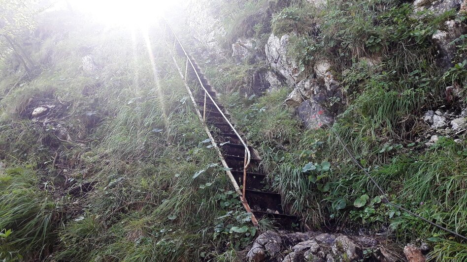 Mountain Hike Via the Wasserfallweg to the Planspitze and via the Heßhütte down to Johnsbach - Touren-Impression #2.4 | © TV Gesäuse