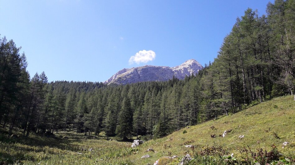 Mountain Hike Via the Wasserfallweg to the Planspitze and via the Heßhütte down to Johnsbach - Touren-Impression #2.7 | © TV Gesäuse