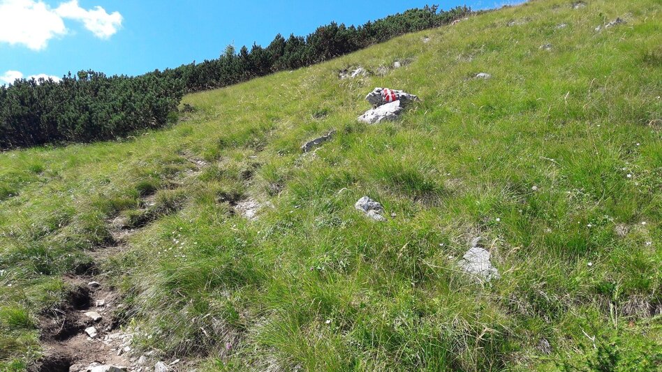 Mountain Hike Via the Wasserfallweg to the Planspitze and via the Heßhütte down to Johnsbach - Touren-Impression #2.8 | © TV Gesäuse