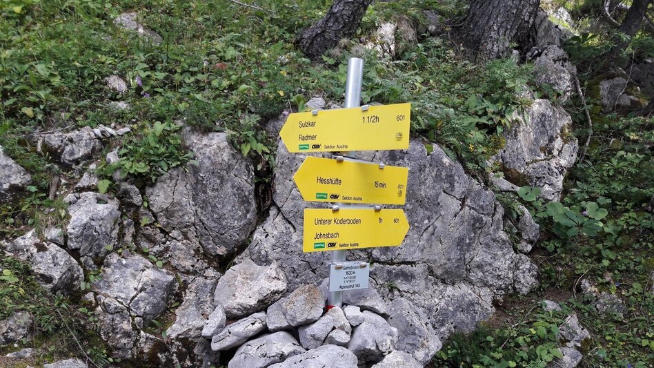 Mountain Hike Via the Wasserfallweg to the Planspitze and via the Heßhütte down to Johnsbach - Touren-Impression #2.15 | © TV Gesäuse