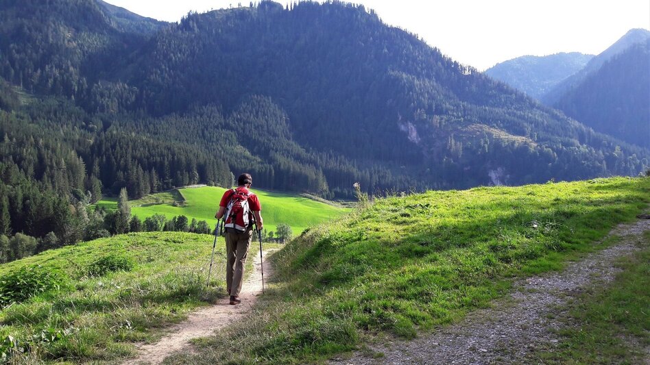Mountain Hike Via the Wasserfallweg to the Planspitze and via the Heßhütte down to Johnsbach - Touren-Impression #2.16 | © TV Gesäuse