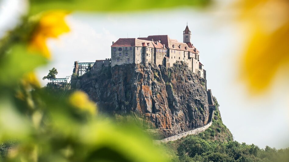 Road Cycling Vulkanland Tour - Touren-Impression #2.2 | © Oststeiermark Tourismus