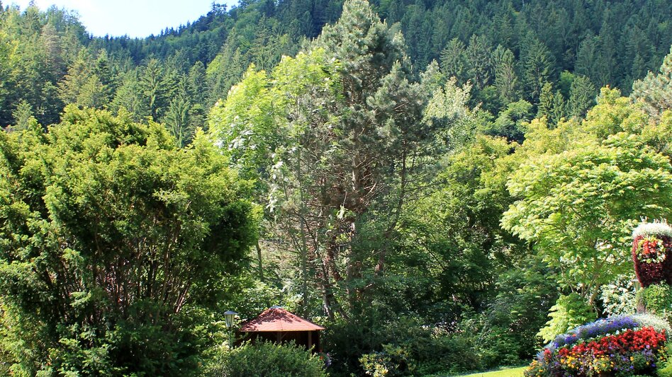 Motor Bike Styrian Flower Route - Touren-Impression #2.6 | © TV Joglland - Waldheimat
