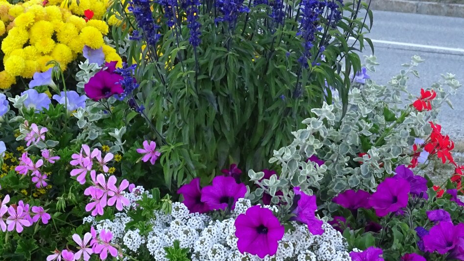 Motor Bike Styrian Flower Route - Touren-Impression #2.7 | © Marianne Dornhofer