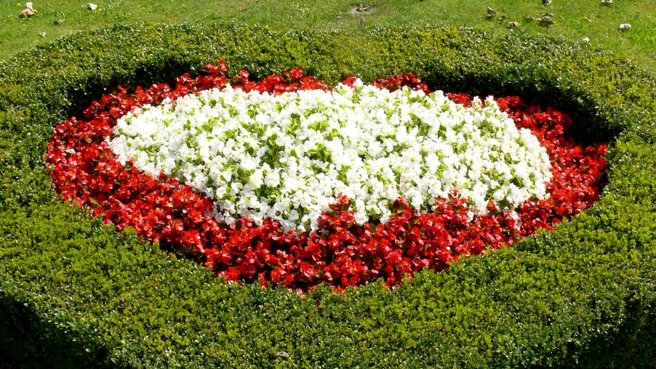 Motor Bike Styrian Flower Route - Touren-Impression #2.8 | © TV Miesenbach