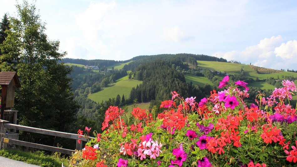 Hiking route HeilBrunnWeg around the Brandlucken - Touren-Impression #2.7 | © Oststeiermark Tourismus