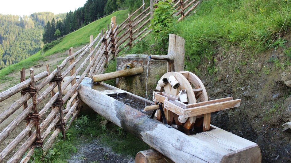 Hiking route HeilBrunnWeg around the Brandlucken - Touren-Impression #2.8 | © Oststeiermark Tourismus