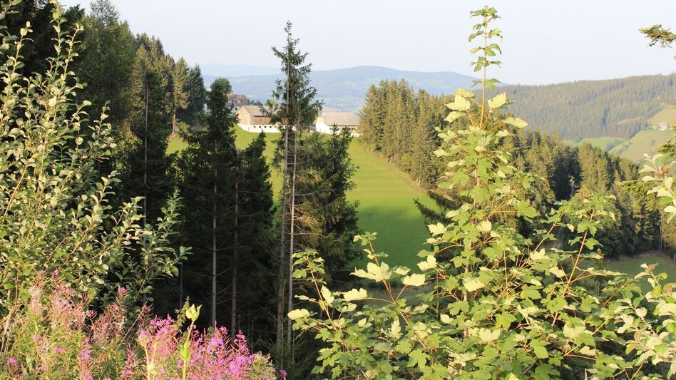 Hiking route HeilBrunnWeg around the Brandlucken - Touren-Impression #2.13 | © Oststeiermark Tourismus