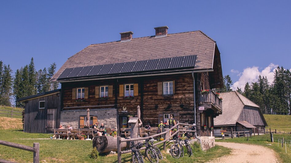 Mountain Biking Mountain Bike Loop: Krieglach – Malleisten Alm – Hönigsberger Alm – Krieglach - Touren-Impression #2.3 | © TV Hochsteiermark