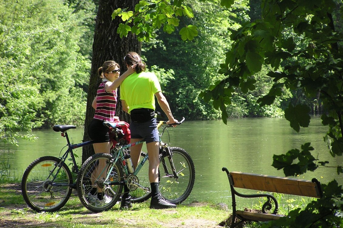 Mountain Biking Mountain Bike Loop: Krieglach – Feistritzberg – Malleisten Alm – Krieglach - Touren-Impression #1 | © TV Hochsteiermark