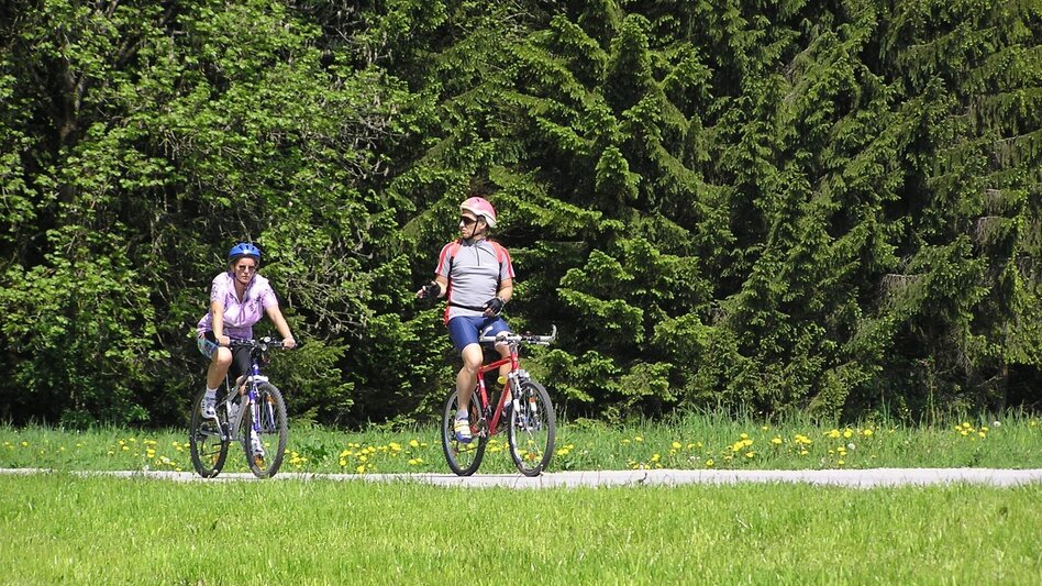 Mountain Biking Mountain Bike Loop: Krieglach – Feistritzberg – Malleisten Alm – Krieglach - Touren-Impression #2.2 | © TV Hochsteiermark