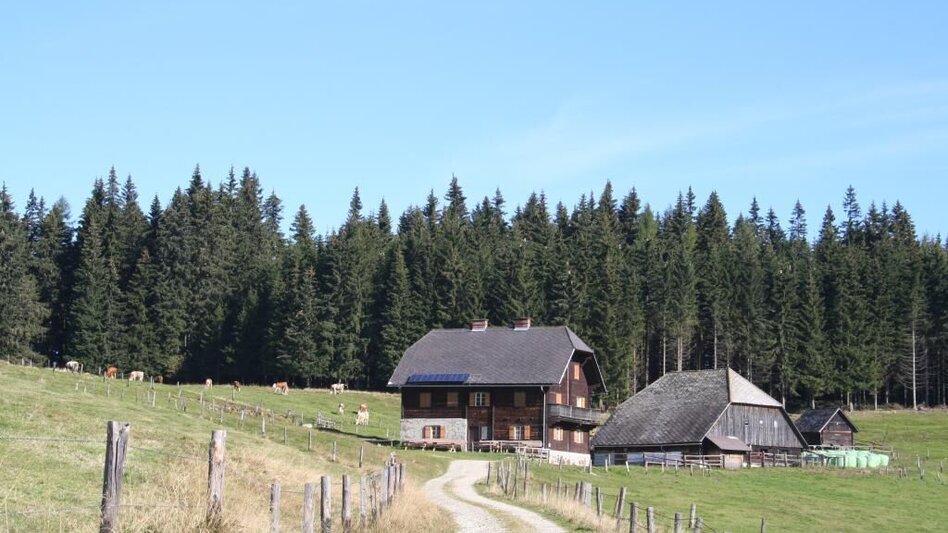 Mountain Biking Mountain Bike Loop: Krieglach – Feistritzberg – Malleisten Alm – Krieglach - Touren-Impression #2.3 | © TV Hochsteiermark