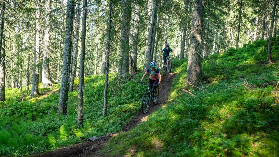Singletrail Buckelwald Trail | 101 - Touren-Impression #2.4 | © Erlebnisregion Schladming-Dachstein