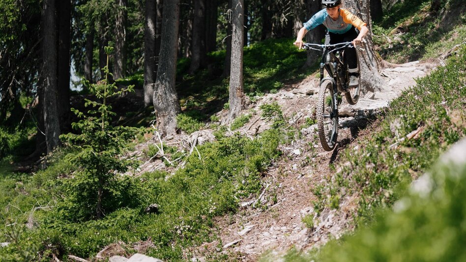 Singletrail Buckelwald Trail | 101 - Touren-Impression #2.7 | © Erlebnisregion Schladming-Dachstein