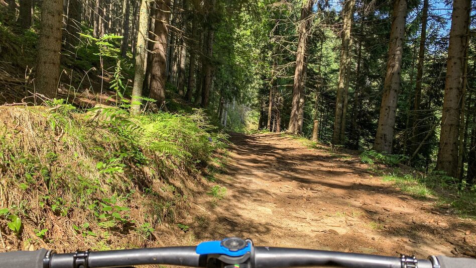 Mountain Biking Dreieckalm - a mountain bike dream tour - Touren-Impression #2.3 | © Südsteiermark