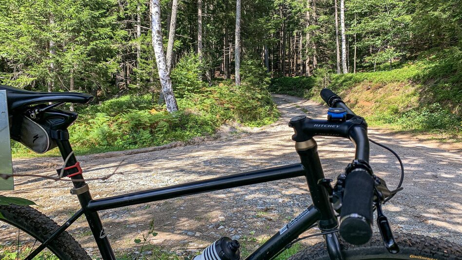 Mountain Biking Dreieckalm - a mountain bike dream tour - Touren-Impression #2.4 | © Südsteiermark