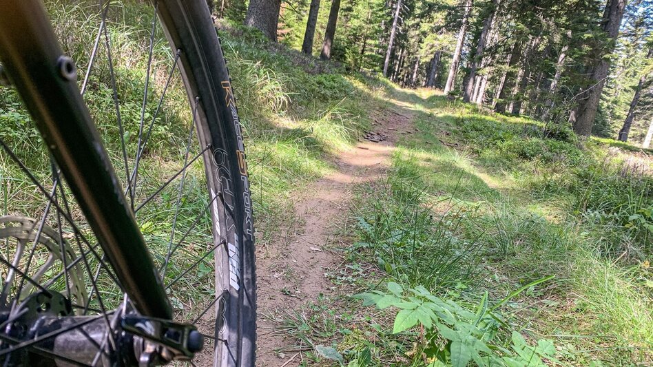 Mountain Biking Dreieckalm - a mountain bike dream tour - Touren-Impression #2.5 | © Südsteiermark