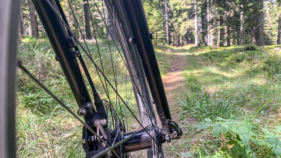 Mountain Biking Dreieckalm - a mountain bike dream tour - Touren-Impression #2.6 | © Südsteiermark