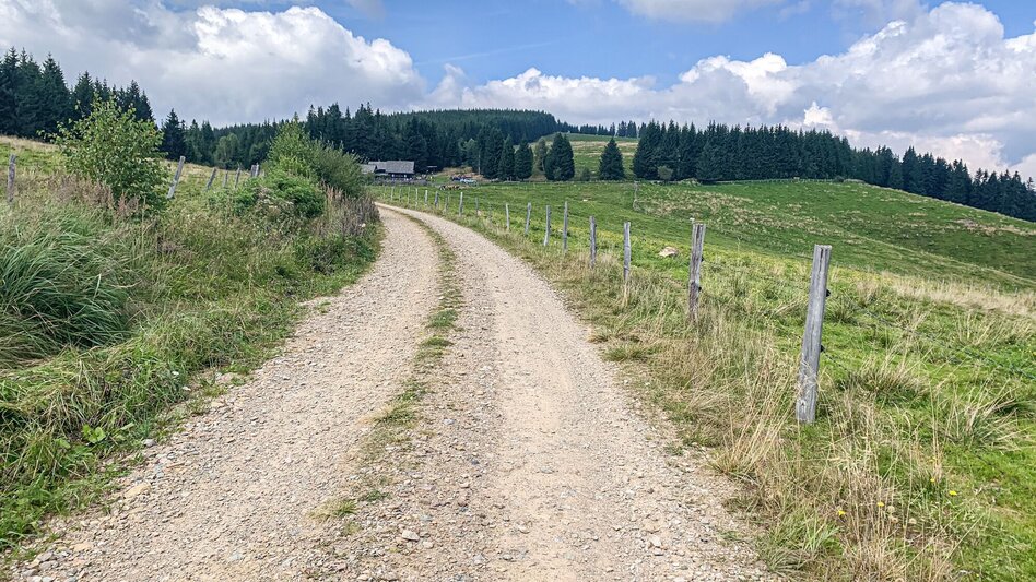 Mountain Biking Dreieckalm - a mountain bike dream tour - Touren-Impression #2.8 | © Südsteiermark