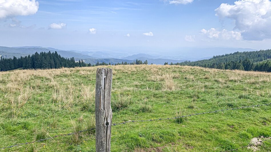 Mountain Biking Dreieckalm - a mountain bike dream tour - Touren-Impression #2.9 | © Südsteiermark