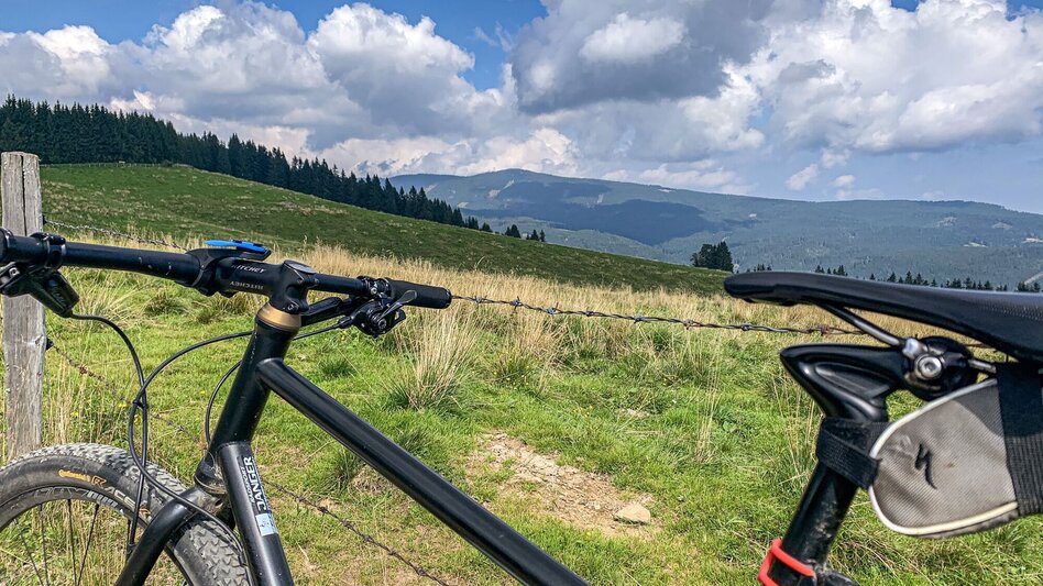 Mountain Biking Dreieckalm - a mountain bike dream tour - Touren-Impression #2.10 | © Südsteiermark