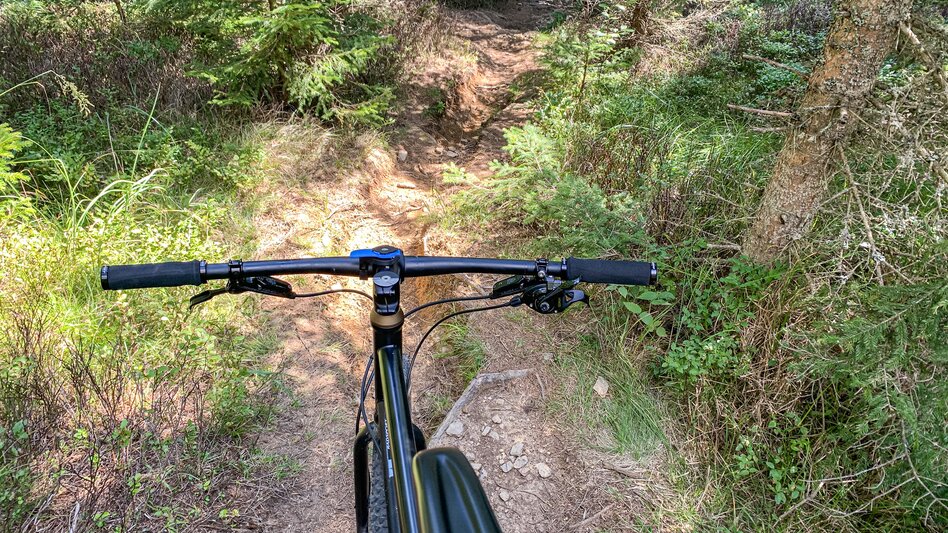 Mountain Biking Dreieckalm - a mountain bike dream tour - Touren-Impression #2.15 | © Südsteiermark