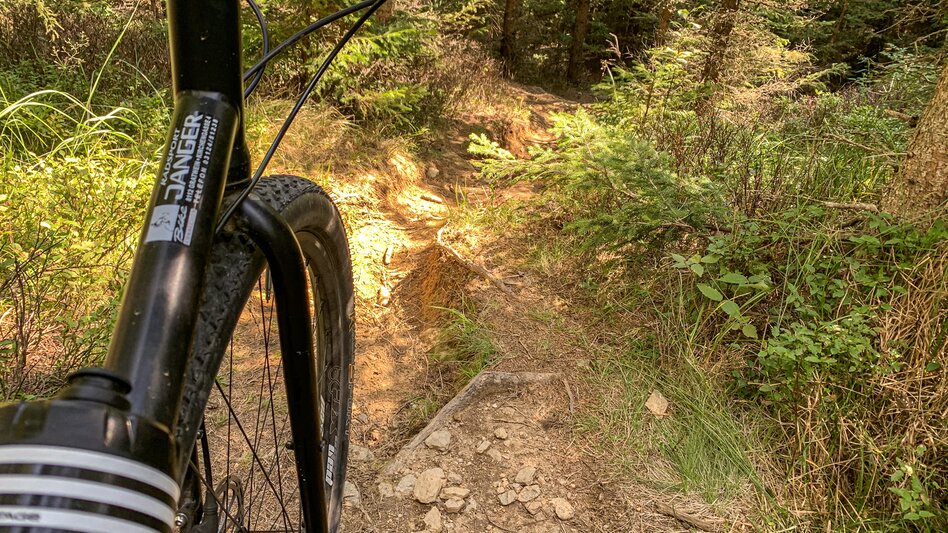 Mountain Biking Dreieckalm - a mountain bike dream tour - Touren-Impression #2.16 | © Südsteiermark