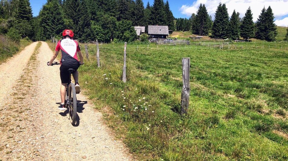 Mountain Biking Dreieckalm - a mountain bike dream tour - Touren-Impression #2.21 | © Südsteiermark