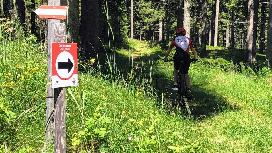 Mountain Biking Dreieckalm - a mountain bike dream tour - Touren-Impression #2.22 | © Südsteiermark