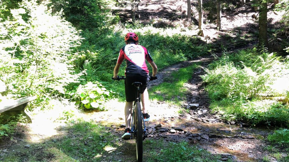 Mountain Biking Dreieckalm - a mountain bike dream tour - Touren-Impression #2.23 | © Südsteiermark