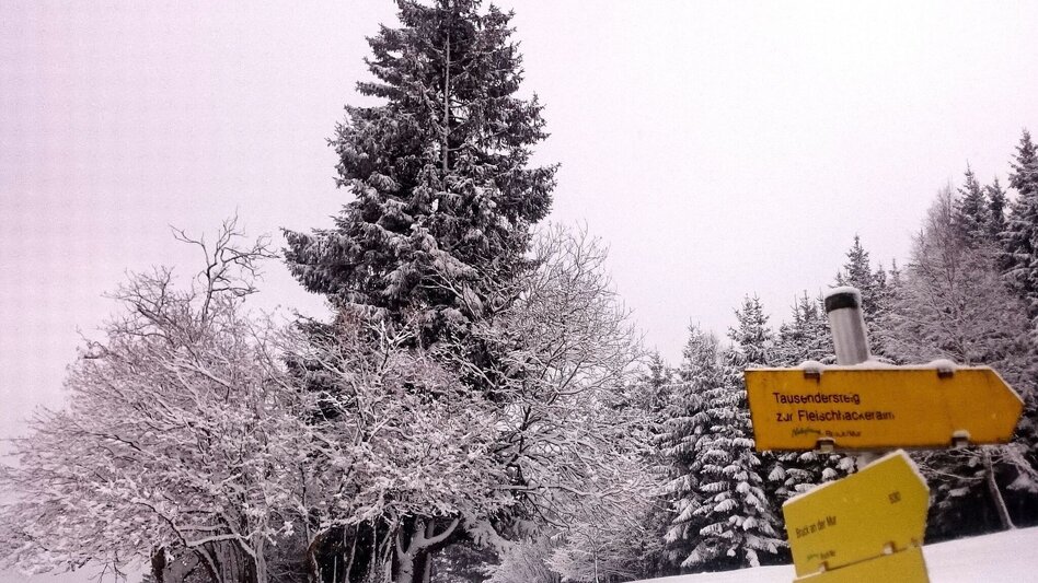 Hiking route From the Old Town to the Nature Conservation Center Weitental - Schweizeben - Touren-Impression #2.2 | © TV Hochsteiermark