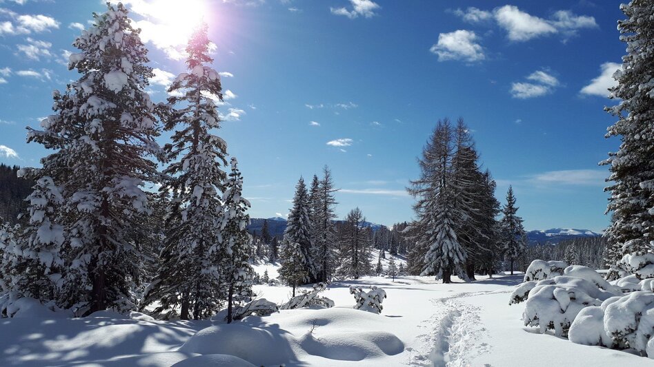Winter Hiking Naturlehrpfad Krakauschatten - Touren-Impression #2.1 | © Tourismusverband Murau