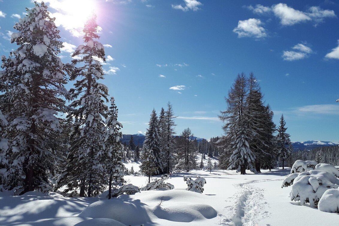 Winter Hiking Naturlehrpfad Krakauschatten - Touren-Impression #1 | © Tourismusverband Murau