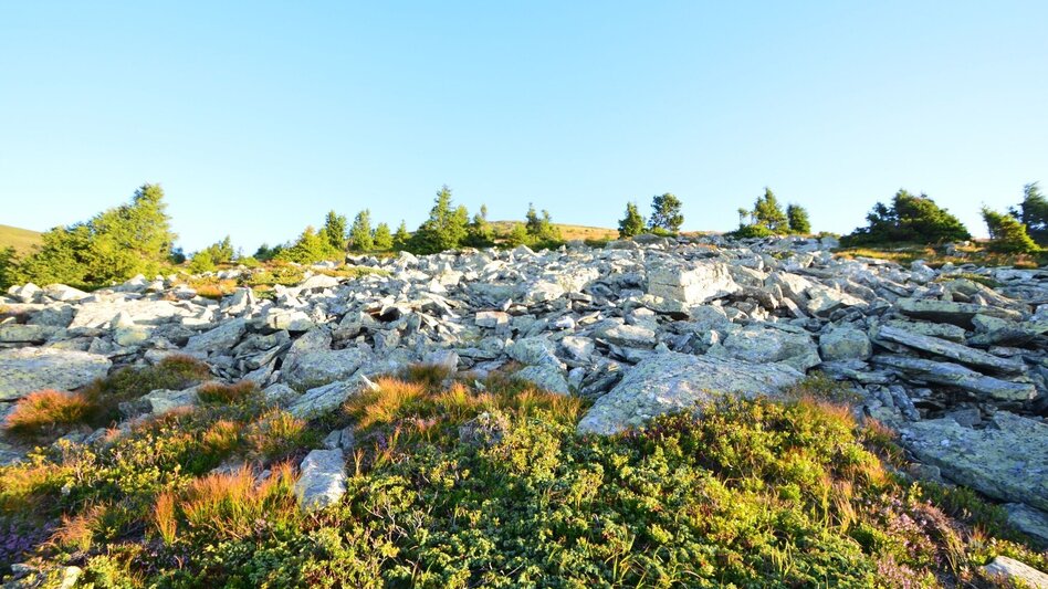 Hiking route Von der Stadt auf den Speik in 2 Tagen - Touren-Impression #2.4 | © Region Graz