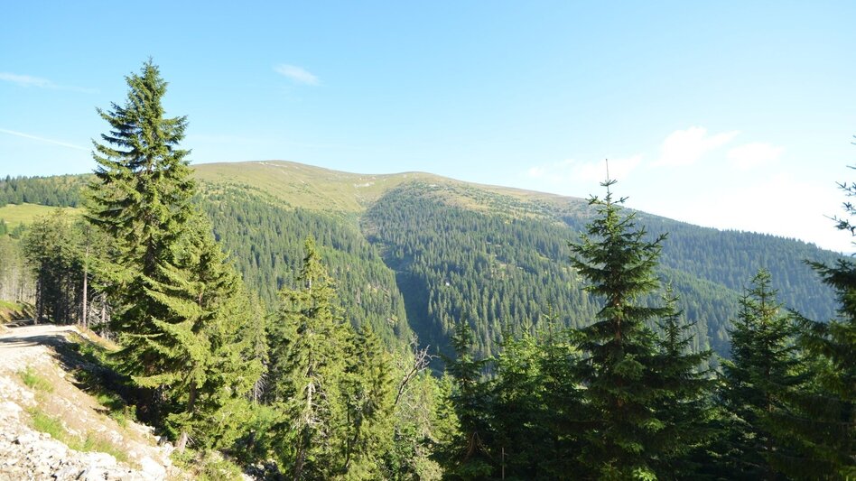 Hiking route Von der Stadt auf den Speik in 2 Tagen - Touren-Impression #2.5 | © Region Graz