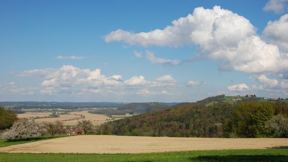 Hiking route Fürstenfeld Water - Wine - Hiking Trail (Fürstenfelder Wasser - Wein - Wanderweg) - Touren-Impression #2.1 | © Erlebnisregion Thermen- & Vulkanland