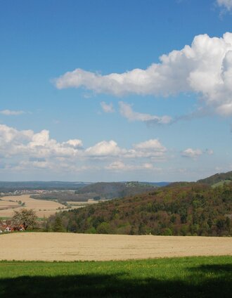 fürstenfelder wasser - wein - wanderweg_img_24203668 | Barbara Wagner | © Erlebnisregion Thermen- & Vulkanland