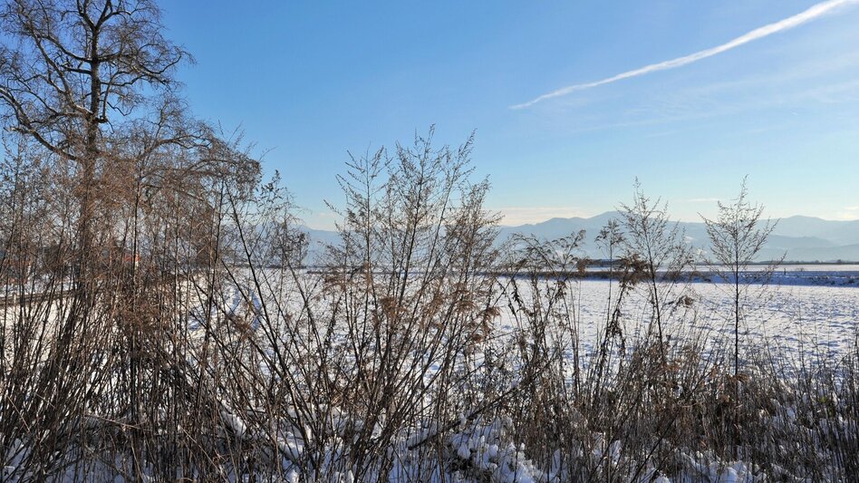 Winter Hiking Nature history trail in winter - Touren-Impression #2.1 | © Erlebnisregion Murtal