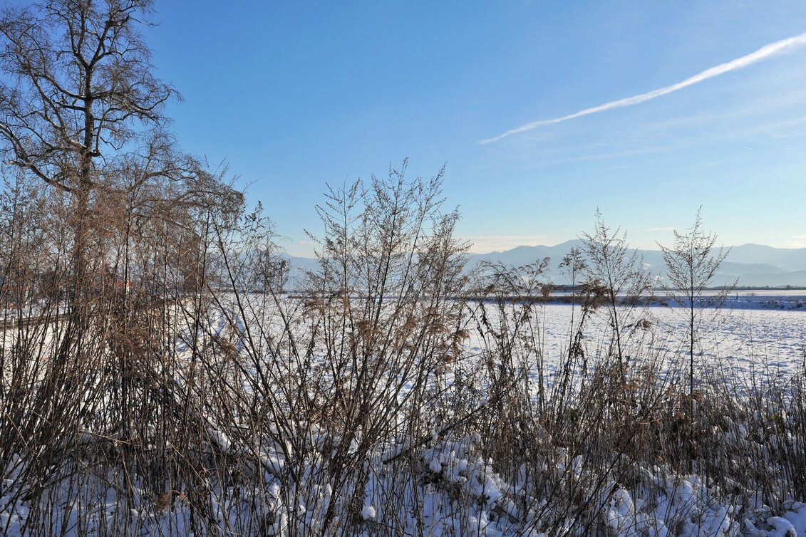 Winter Hiking Nature history trail in winter - Touren-Impression #1 | © Erlebnisregion Murtal