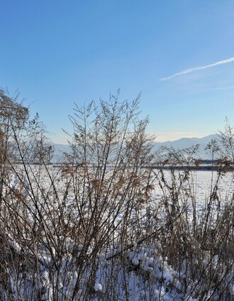 natur historien lehrpfad im winter_img_24280573 | Inge Amtmann | © Erlebnisregion Murtal