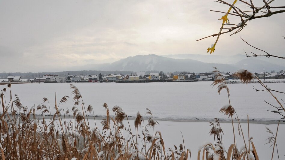 Winter Hiking Nature history trail in winter - Touren-Impression #2.2 | © Erlebnisregion Murtal