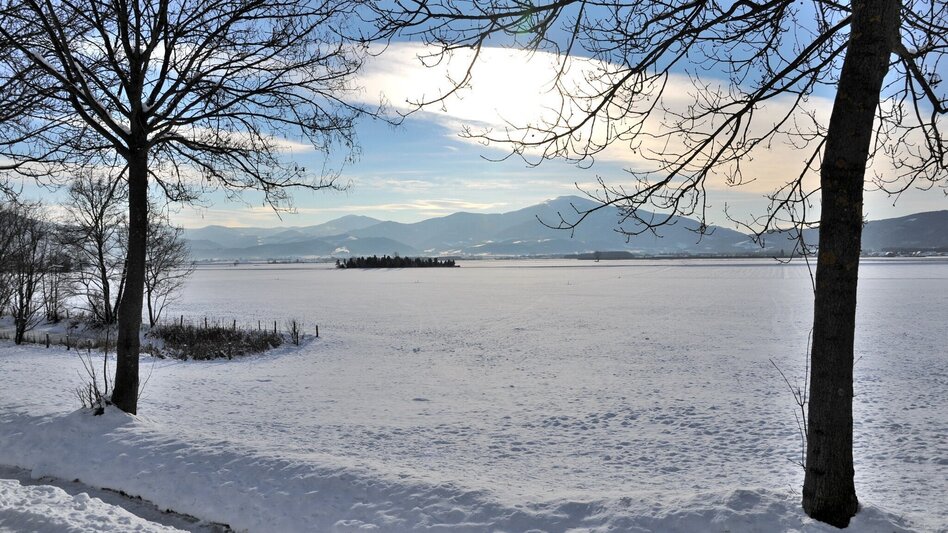 Winter Hiking Nature history trail in winter - Touren-Impression #2.3 | © Erlebnisregion Murtal