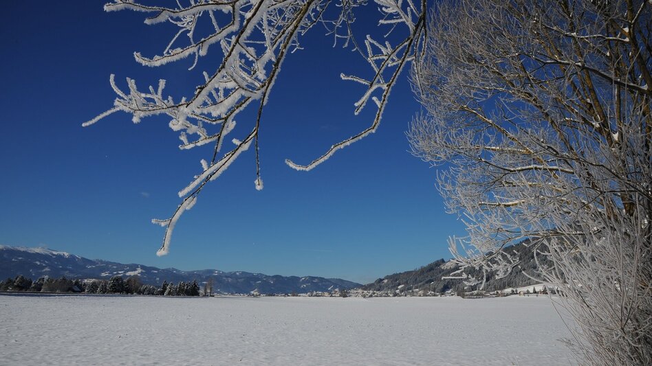 Winter Hiking Nature history trail in winter - Touren-Impression #2.5 | © Erlebnisregion Murtal