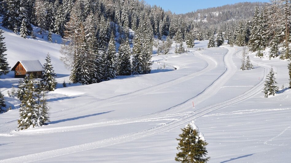 Ski nordic skating Prebersee high-altitude cross-country ski trail - Touren-Impression #2.1 | © Tourismusverband Murau