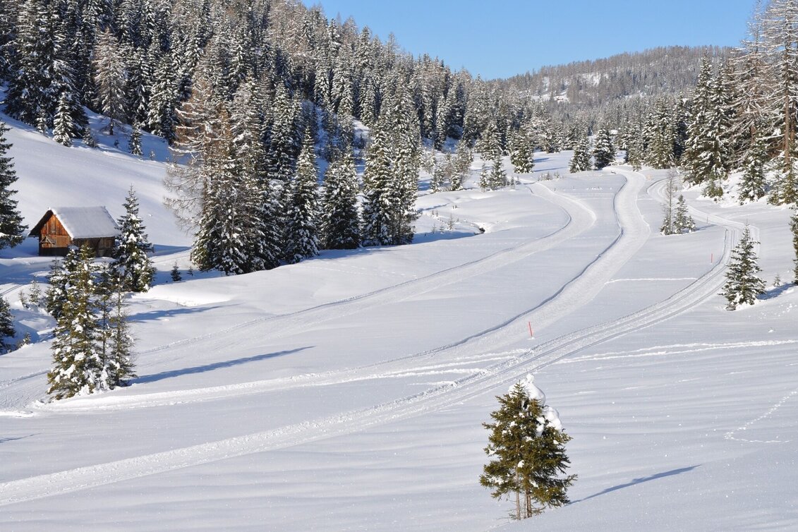 Ski nordic skating Prebersee high-altitude cross-country ski trail - Touren-Impression #1 | © Tourismusverband Murau