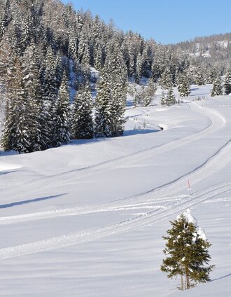 Preberseeloipe | Ewald Siebenhofer | © Tourismusverband Murau