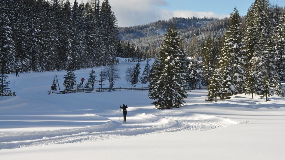 Ski nordic skating Prebersee high-altitude cross-country ski trail - Touren-Impression #2.2 | © Tourismusverband Murau