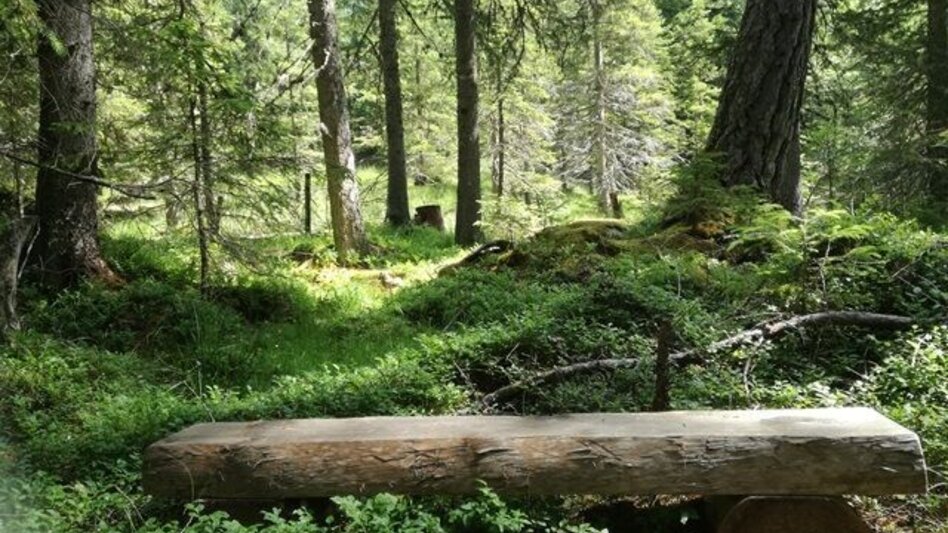 Hiking route Power place hike 3: Klausnerberg - Touren-Impression #2.1 | © Tourismusverband Murau