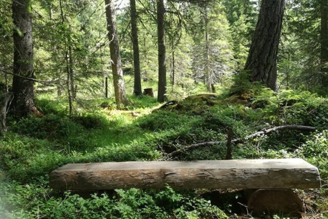 Hiking route Power place hike 3: Klausnerberg - Touren-Impression #1 | © Tourismusverband Murau