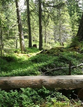 Kraftplatz 5 Erde Wasser Luft und Feuerseele | Barbara Thanner | © Tourismusverband Murau